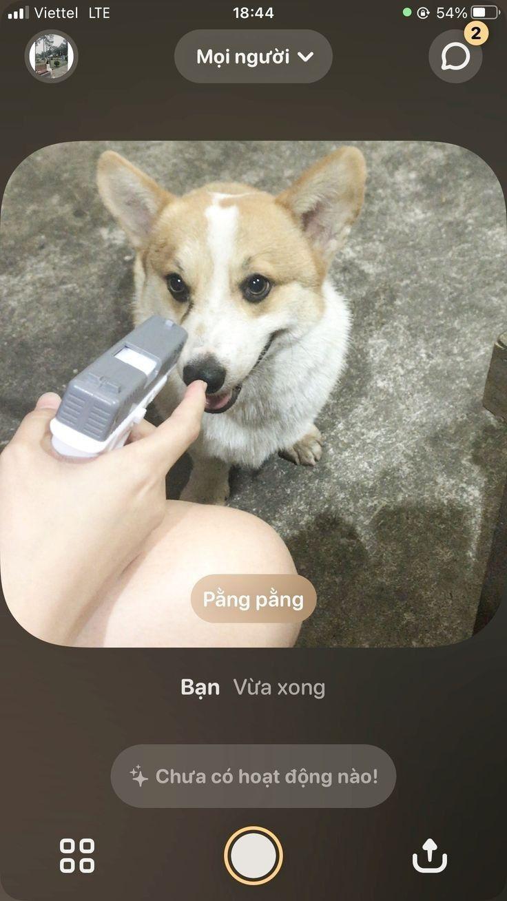 Yêu thương 🎉